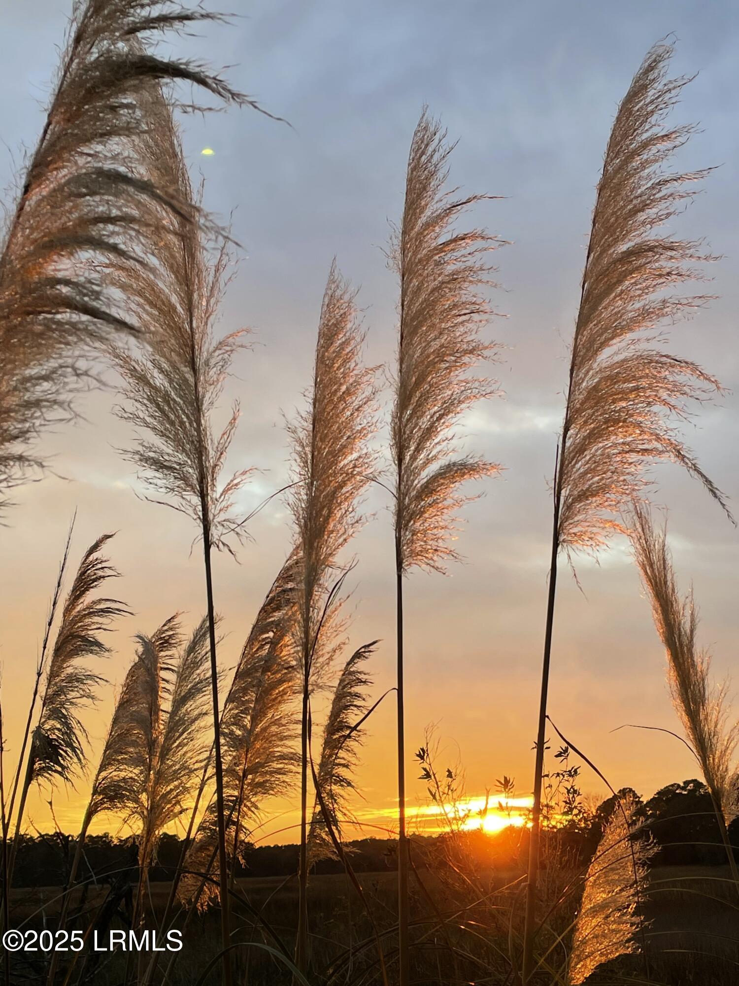 8 Battery Point Lane Beaufort, SC 29902 - Photo 61 of 62 IMG_6907
