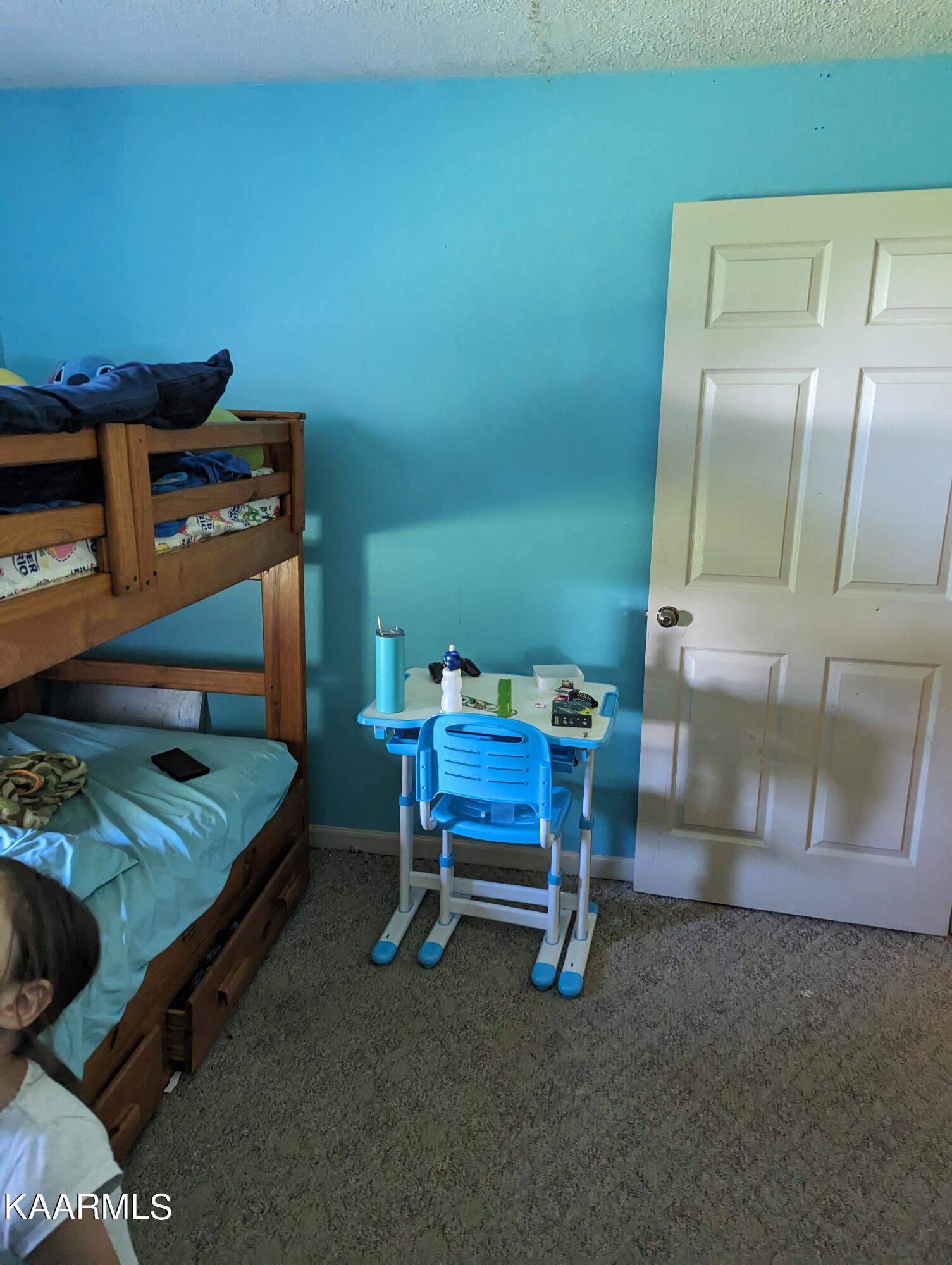 102 Waylon Road Crossville, TN 38571 - Photo 11 of 32 PXL_20230726_203649327