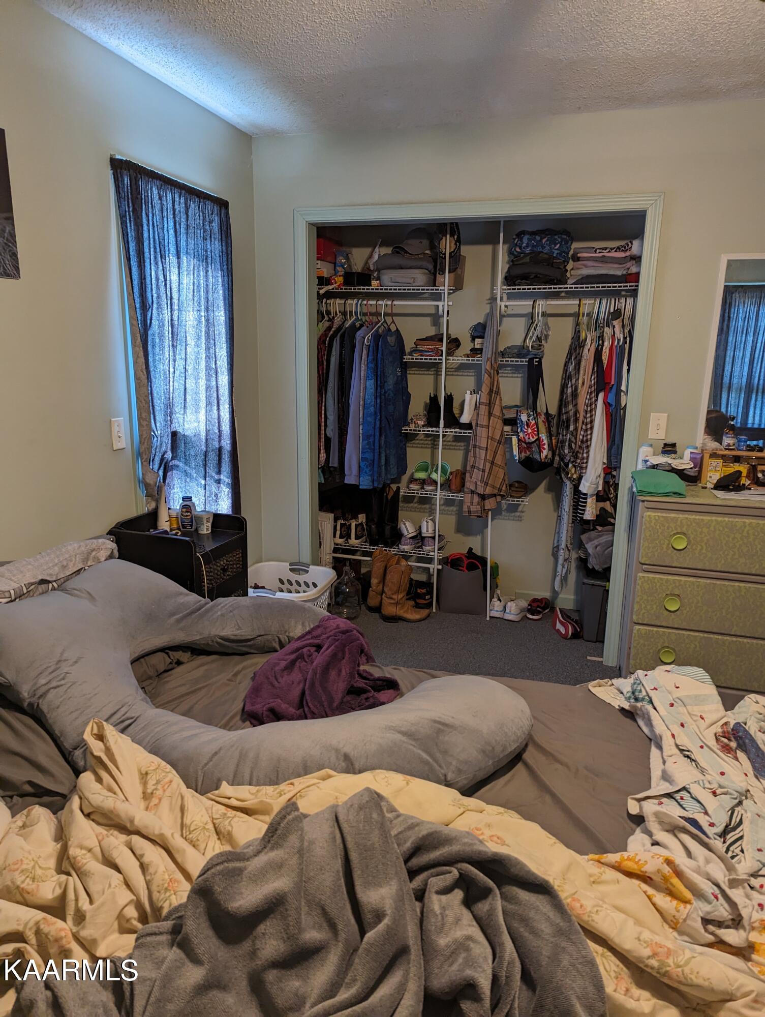 102 Waylon Road Crossville, TN 38571 - Photo 14 of 32 PXL_20230726_203850526