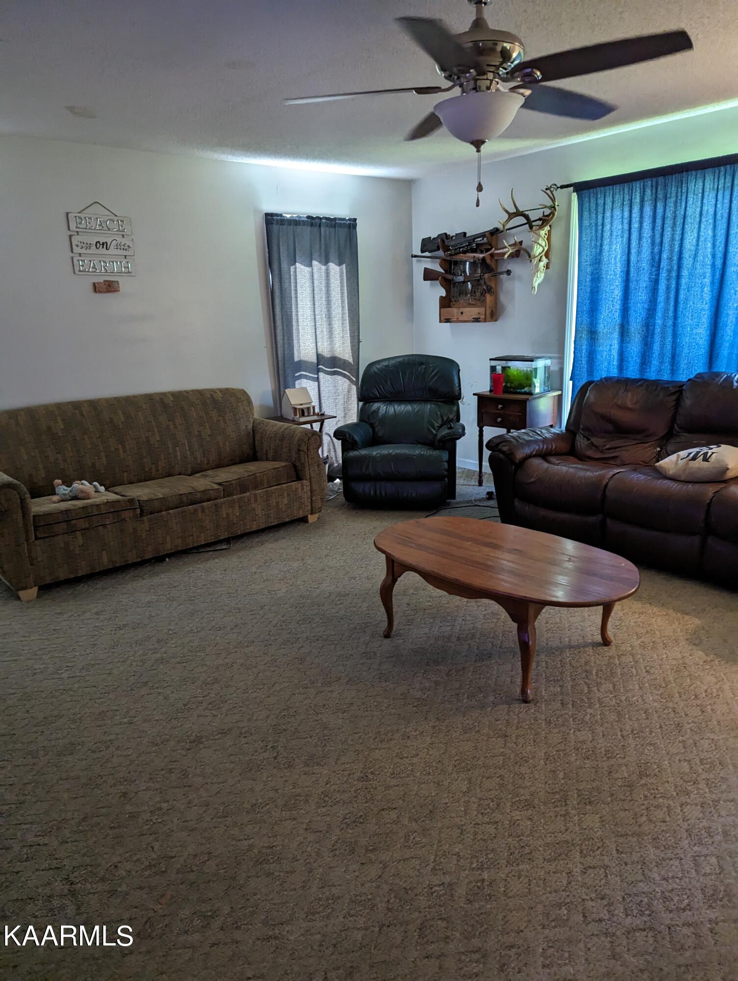 102 Waylon Road Crossville, TN 38571 - Photo 17 of 32 PXL_20230726_204106586