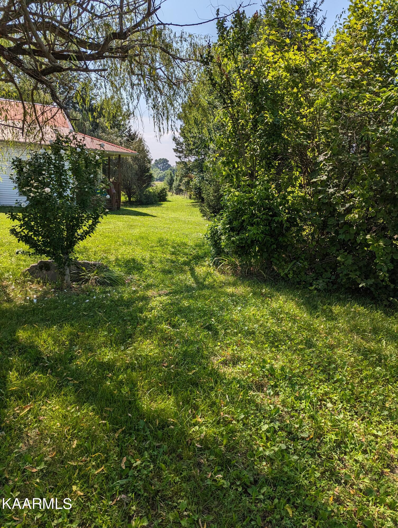 102 Waylon Road Crossville, TN 38571 - Photo 21 of 32 PXL_20230726_202842692