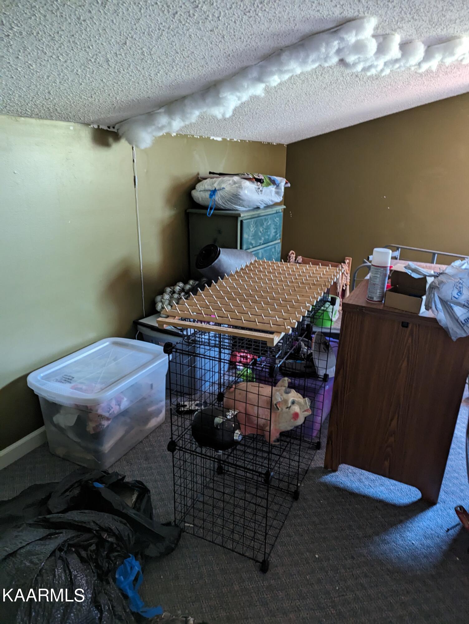 102 Waylon Road Crossville, TN 38571 - Photo 25 of 32 PXL_20230726_204351583