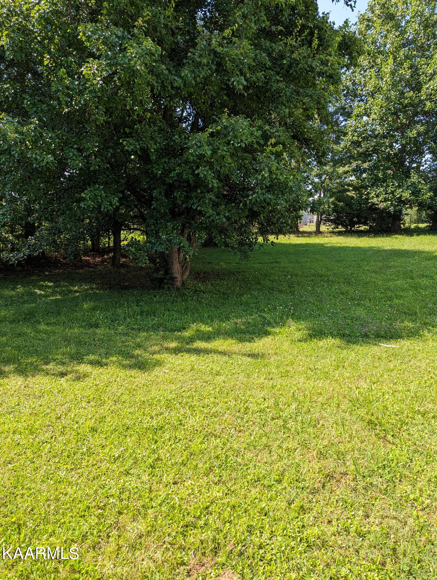 102 Waylon Road Crossville, TN 38571 - Photo 28 of 32 PXL_20230726_202942800