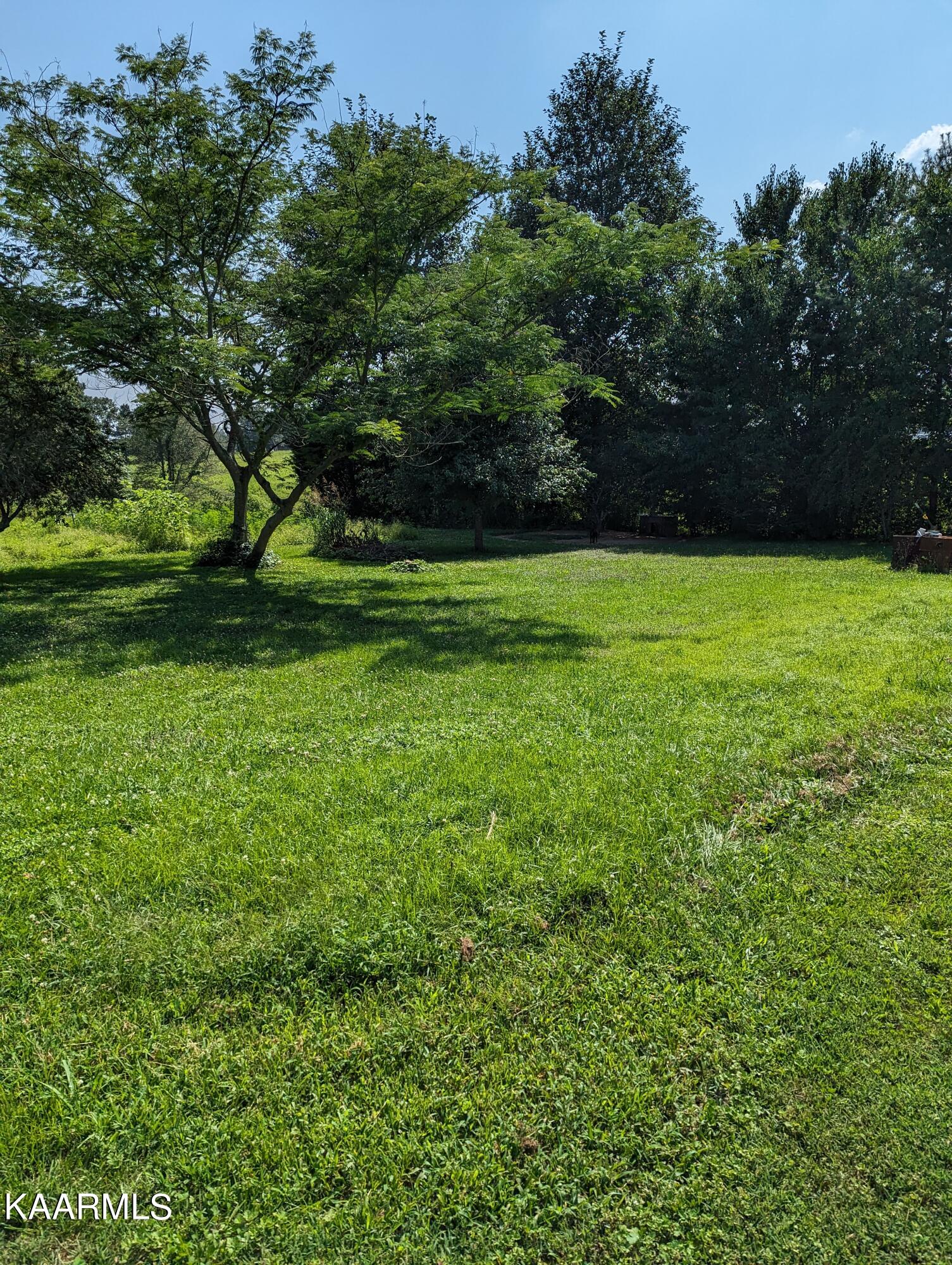 102 Waylon Road Crossville, TN 38571 - Photo 31 of 32 PXL_20230726_202913926