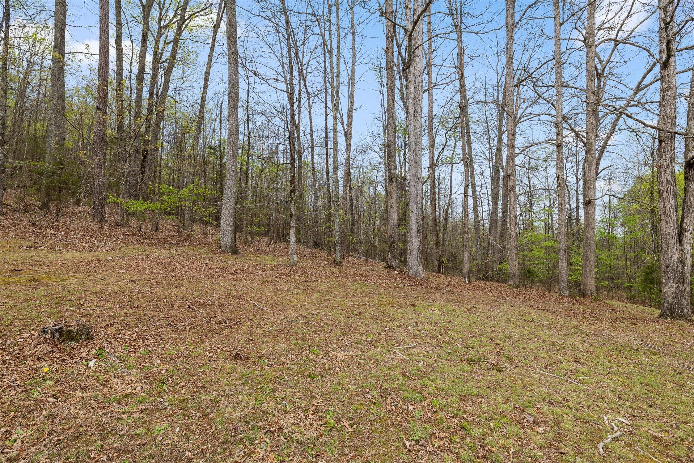 200 Lookout Tower Road Northwest Charleston, TN 37310 - Photo 30 of 32 Lookout Tower Rd