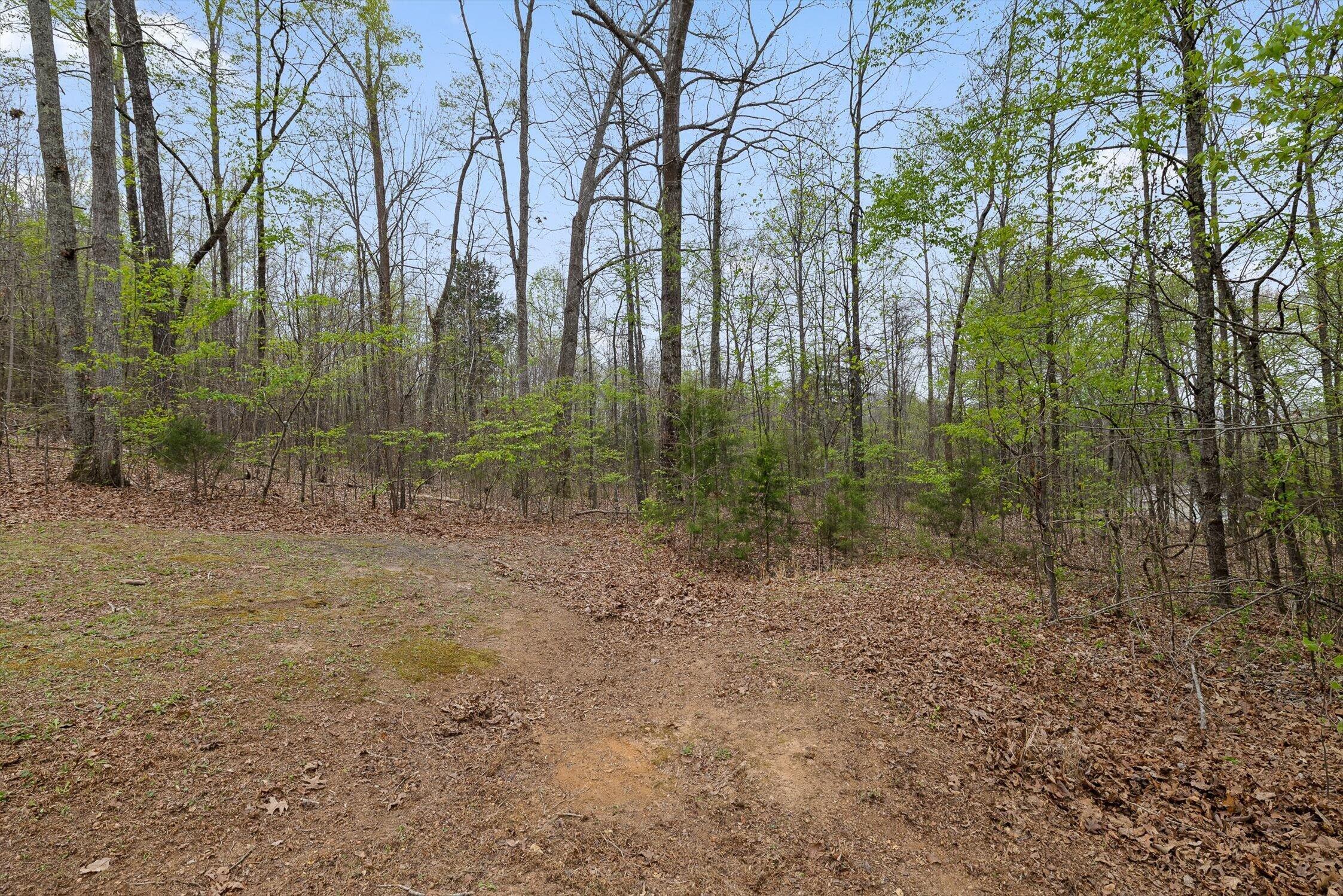 200 Lookout Tower Road Northwest Charleston, TN 37310 - Photo 31 of 32 Lookout Tower Rd