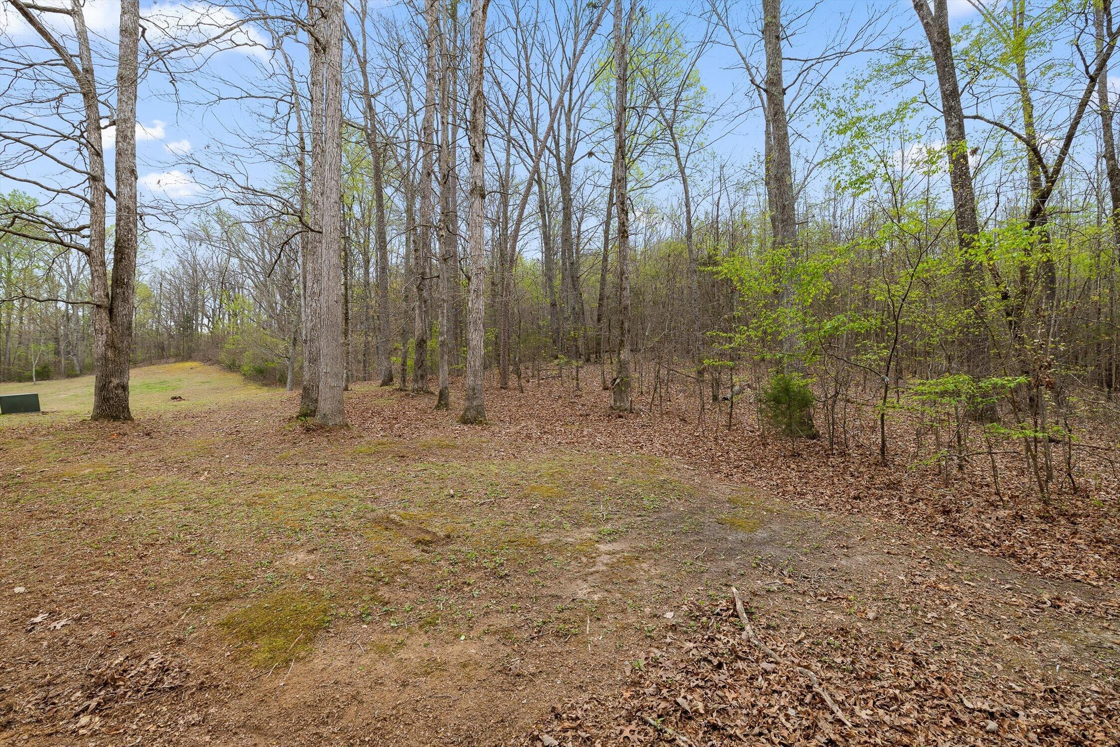 200 Lookout Tower Road Northwest Charleston, TN 37310 - Photo 32 of 32 Lookout Tower Rd