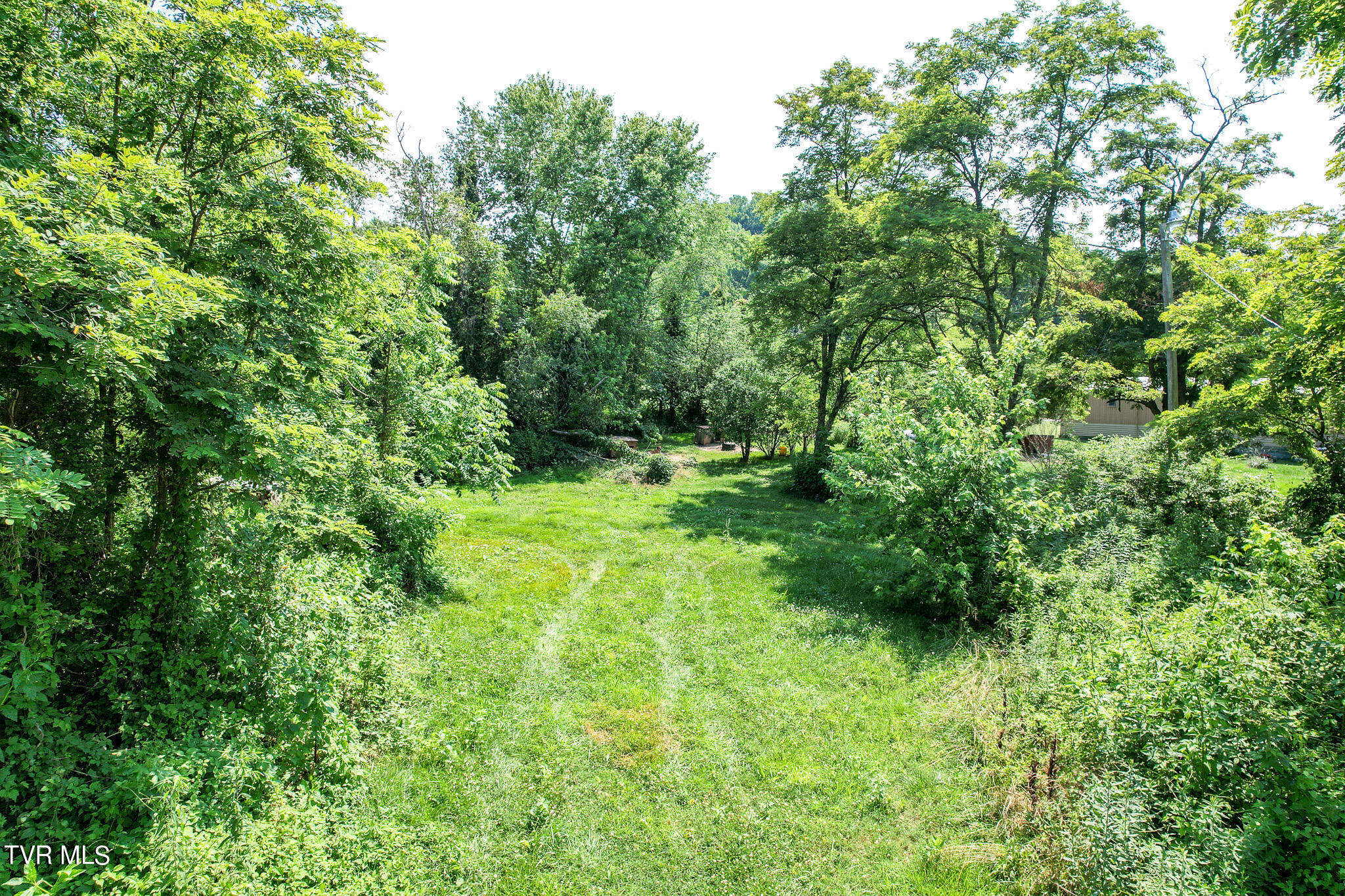 290 Fishpond Road Chuckey, TN 37641 - Photo 32 of 32 dji_0991