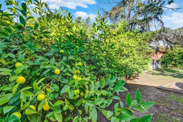 $660,000 | 4118 Georgia Street, Vallejo, CA 94591