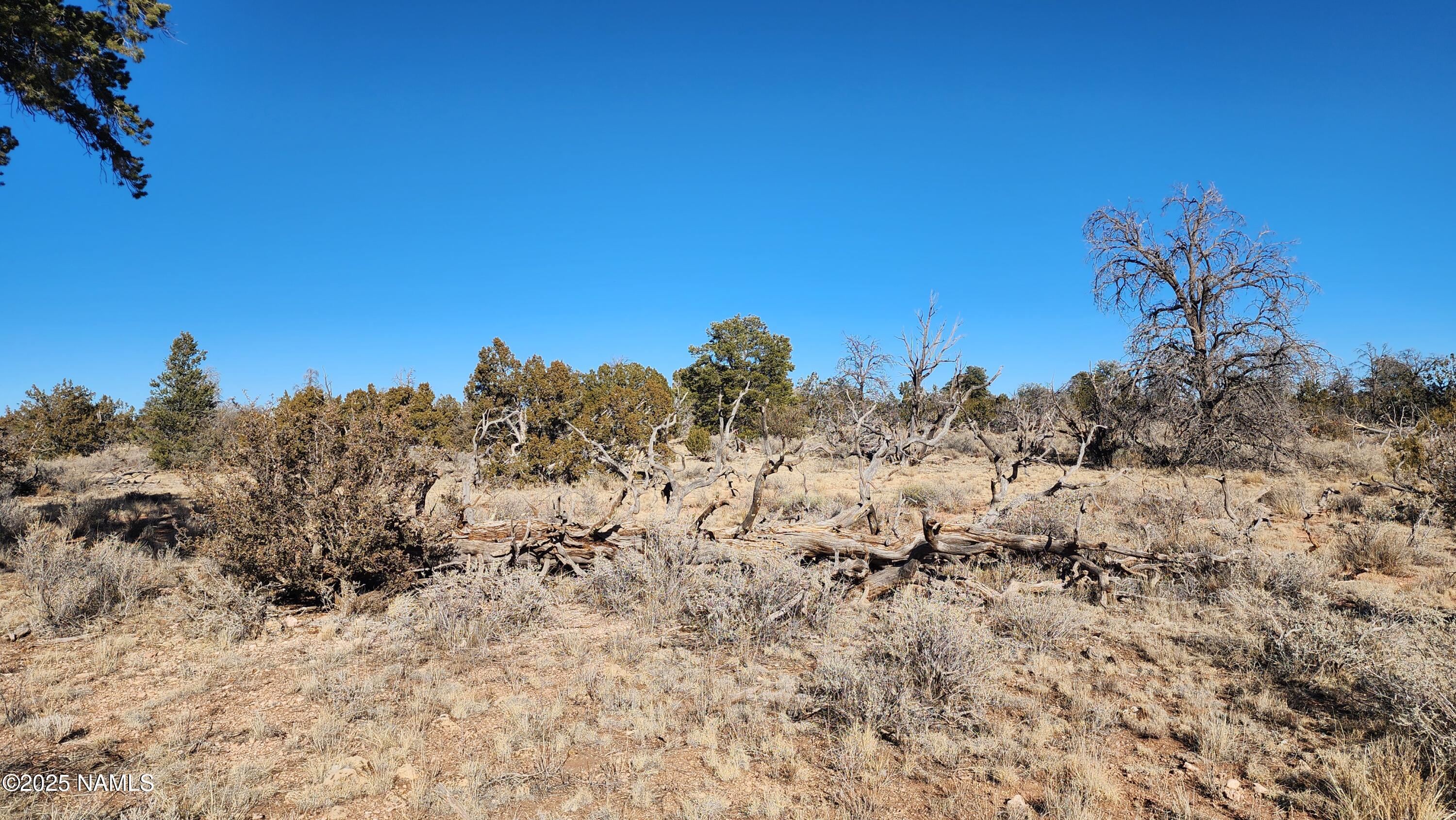 5373 Red Butte Road Williams, AZ 86046 - Photo 26 of 33 1000024099