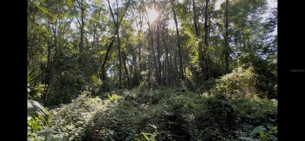 2339 Southeast Hawthorne Road Gainesville, FL 32641 - Photo 14 of 19