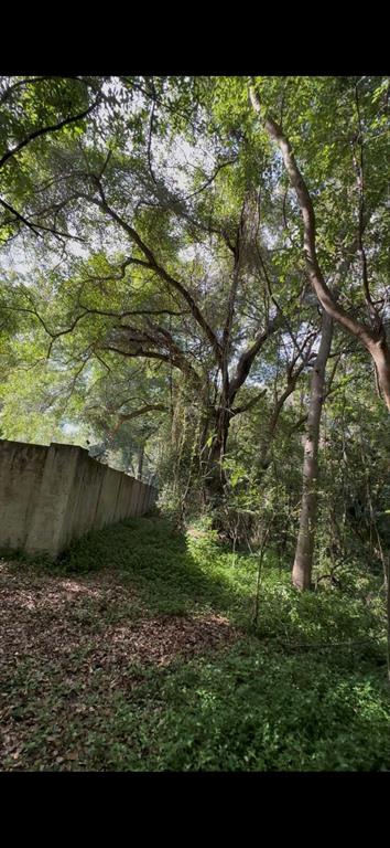 2339 Southeast Hawthorne Road Gainesville, FL 32641 - Photo 16 of 19 a view of outdoor space and a yard