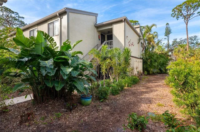 a backyard with potted plants and large tree