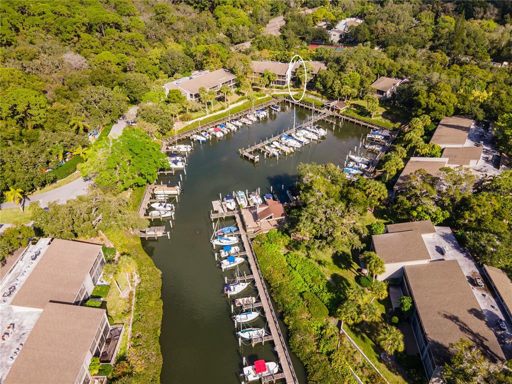 1512 Pelican Cove Road, Unit 239 Sarasota, FL 34231 - Photo 37 of 39