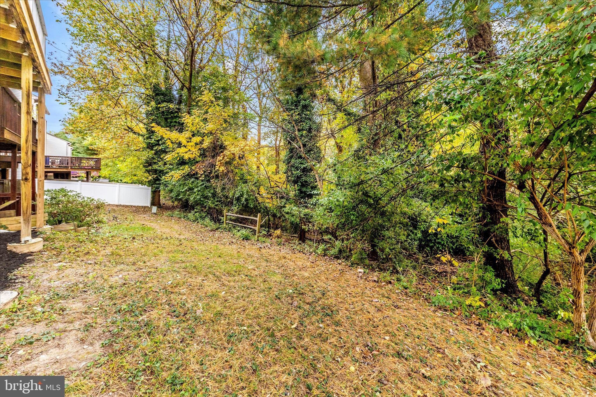 1 Kinsman View Circle Silver Spring, MD 20901 - Photo 47 of 52 a view of a yard with trees