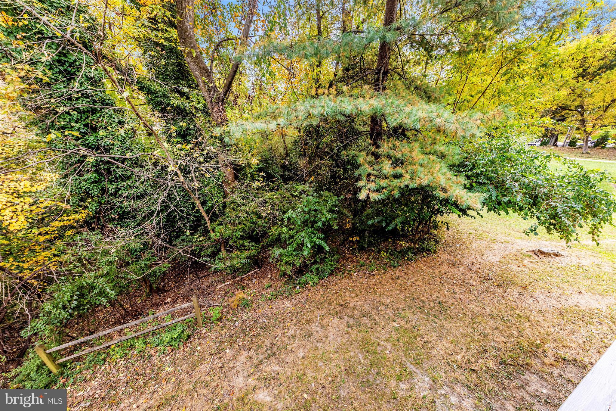 1 Kinsman View Circle Silver Spring, MD 20901 - Photo 52 of 52 a view of a yard with plants and tree