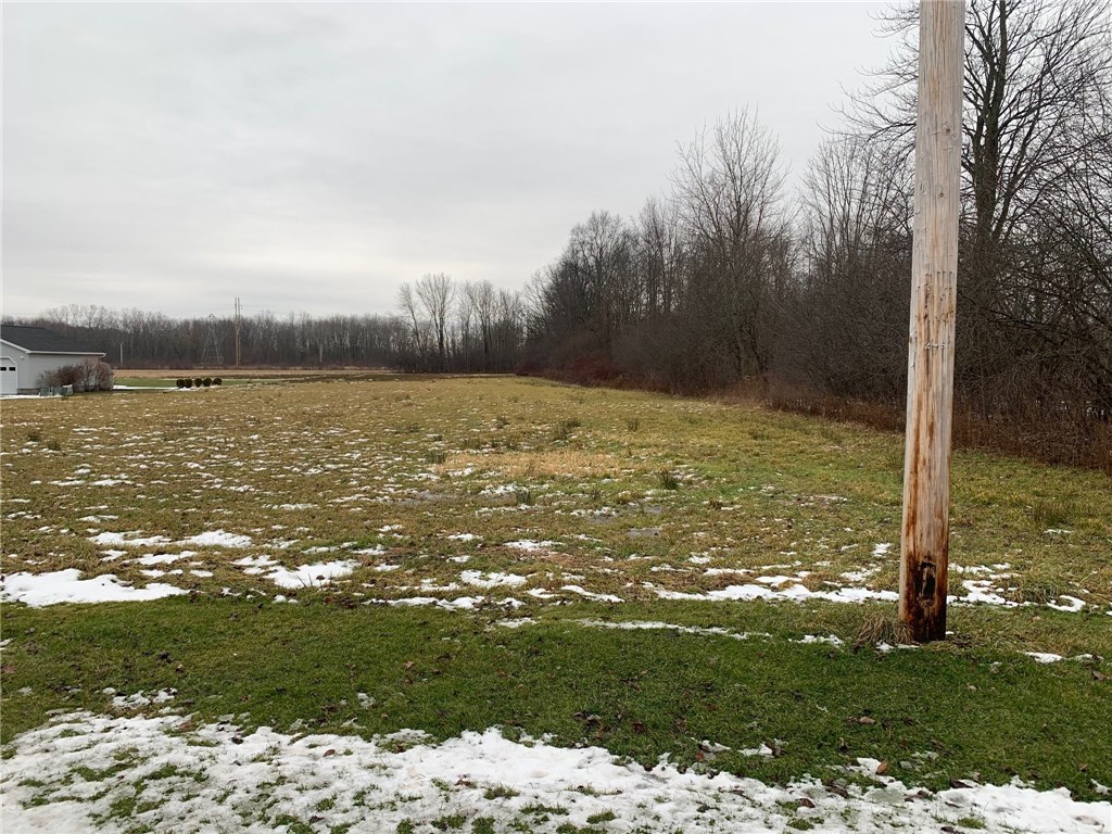 0 Worden Road Seneca Falls, NY 13148 - Photo 1 of 1
