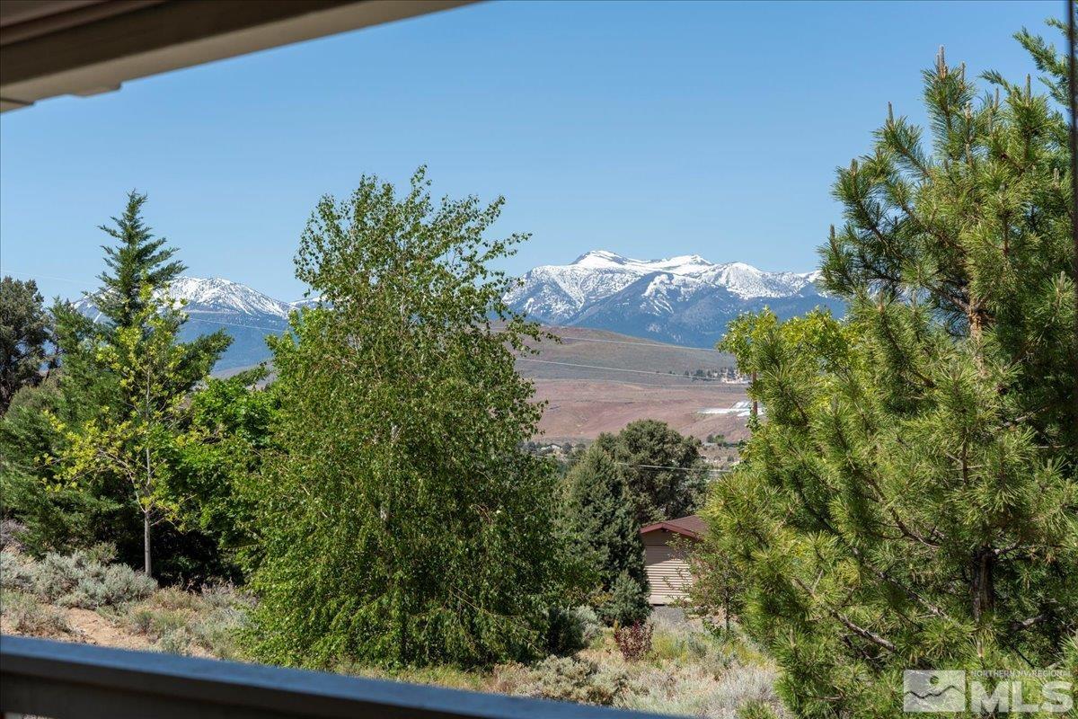 1950 Geiger Grade Road Reno, NV 89521 - Photo 3 of 32 a view of a garden with a flower in a garden