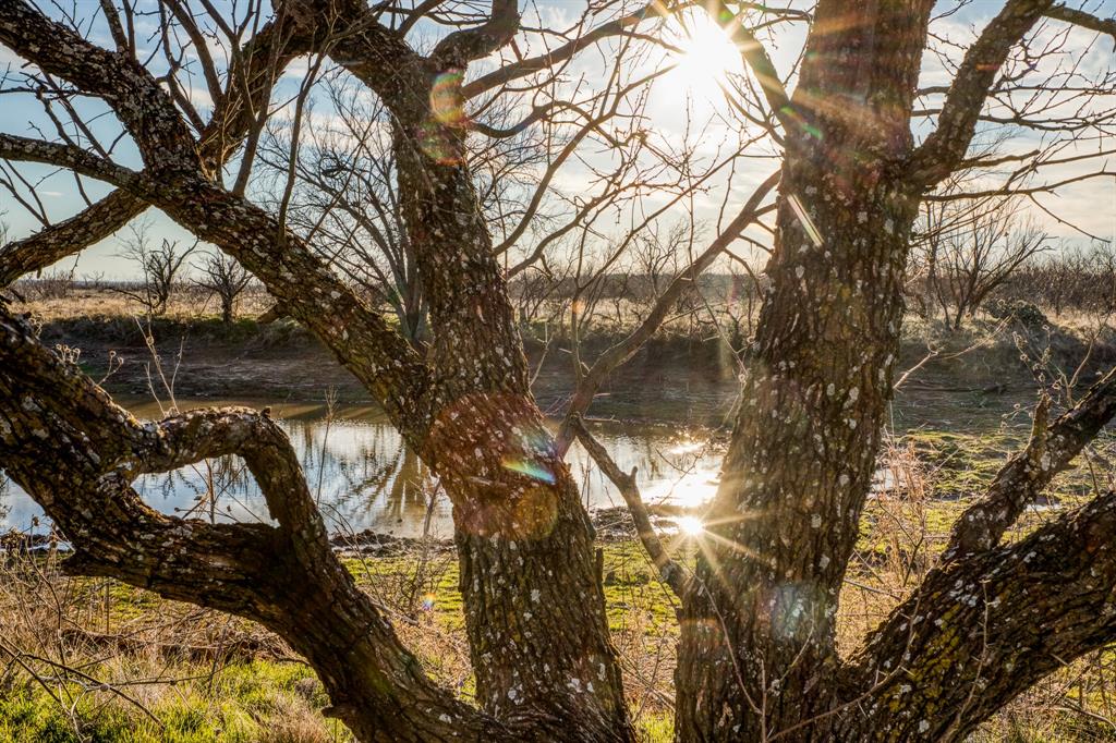 3151 Orth Road Olney, TX 76374 - Photo 20 of 37