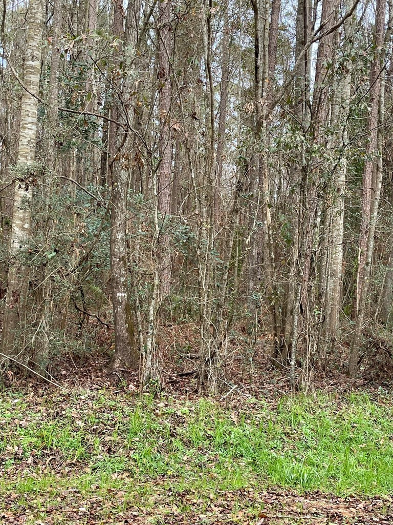 23 Salem Church Road Tylertown, MS 39667 - Photo 16 of 29 Photo 16