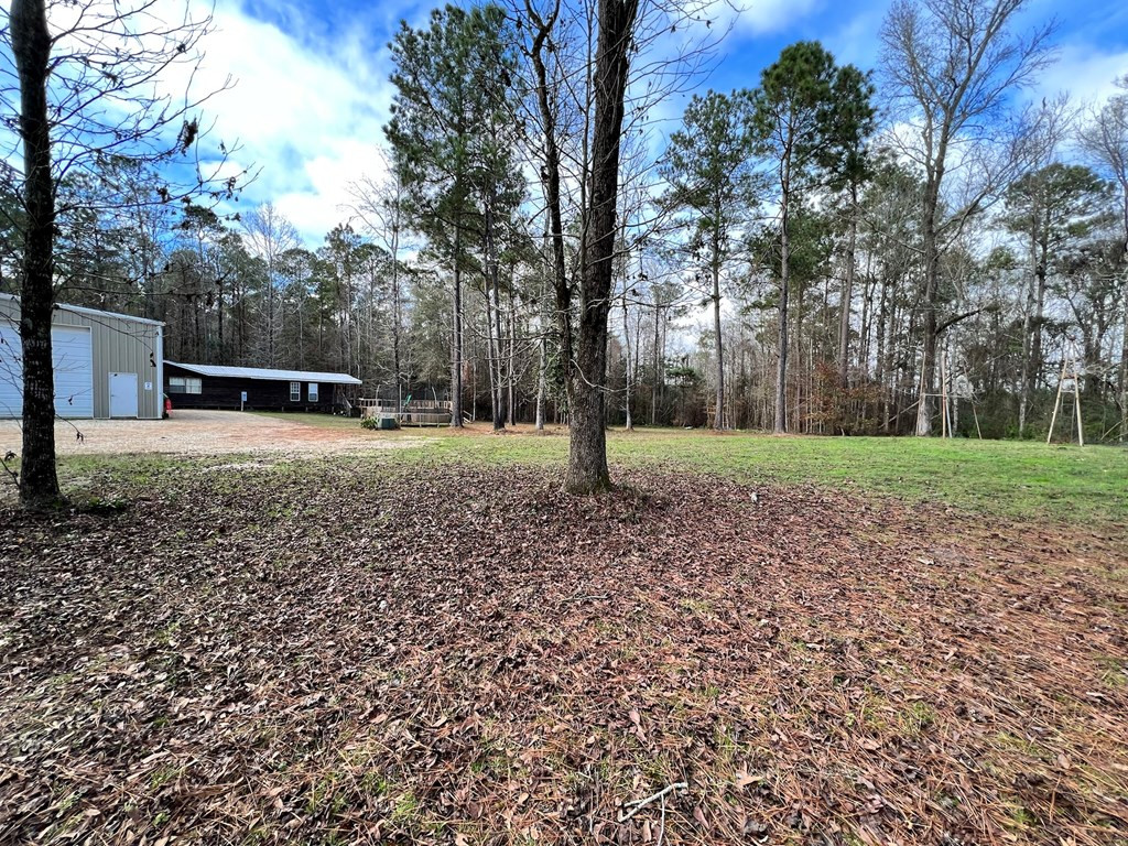 23 Salem Church Road Tylertown, MS 39667 - Photo 19 of 29 Photo 19