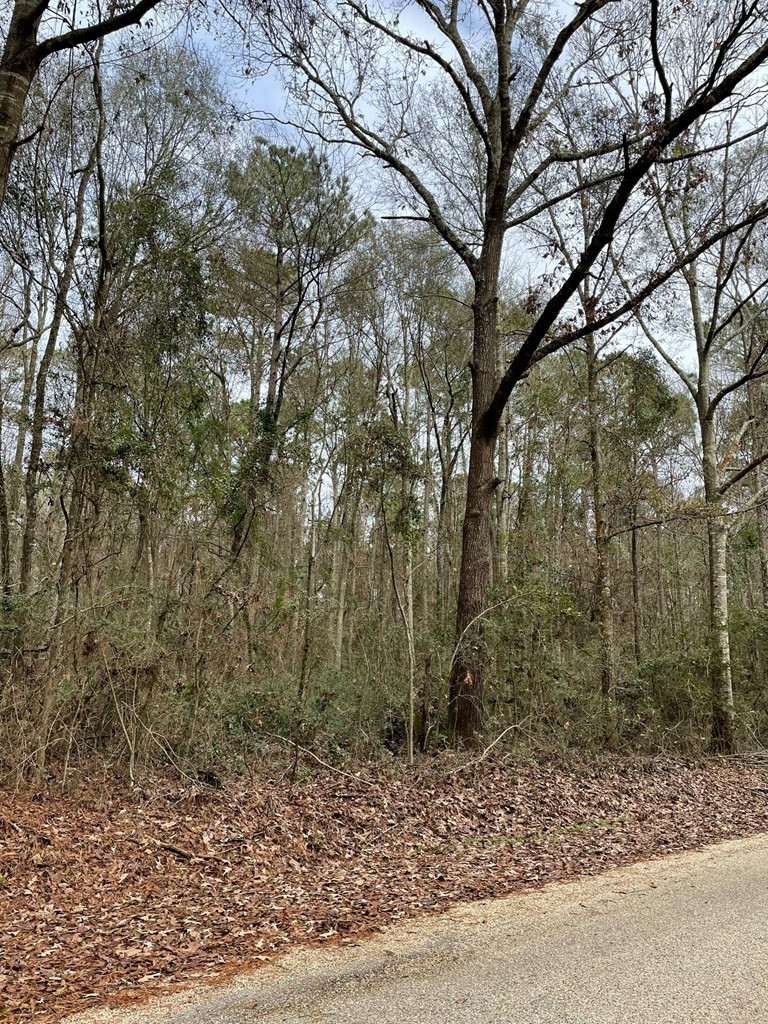 23 Salem Church Road Tylertown, MS 39667 - Photo 20 of 29 Photo 21
