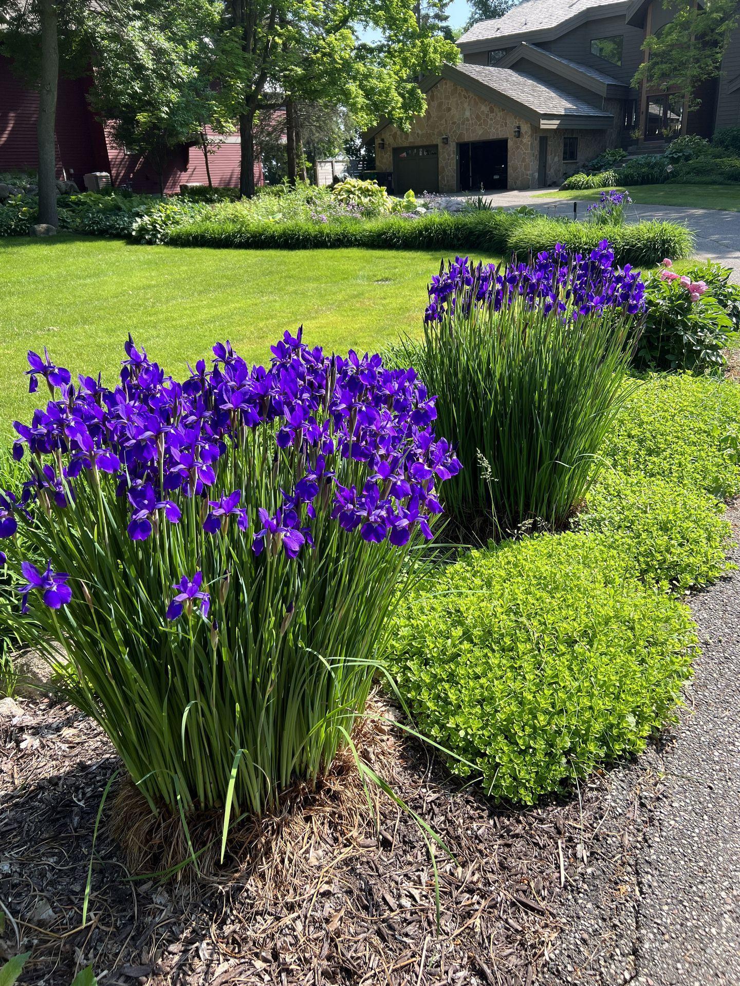 3061 Casco Point Road Orono, MN 55391 - Photo 58 of 64