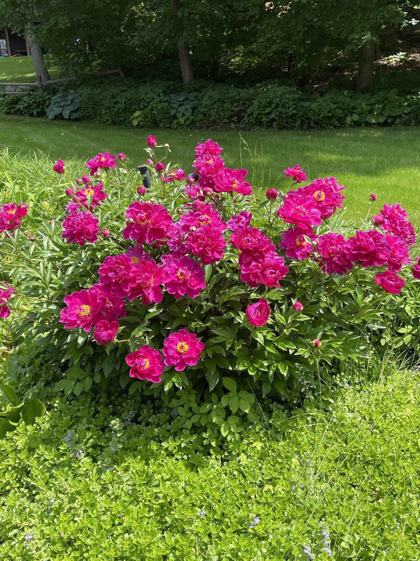 3061 Casco Point Road Orono, MN 55391 - Photo 59 of 64