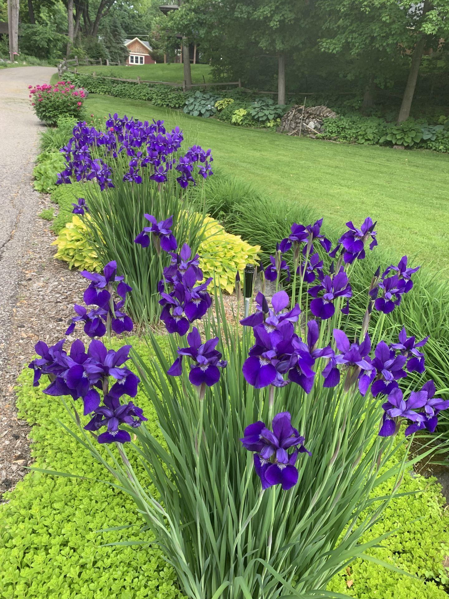 3061 Casco Point Road Orono, MN 55391 - Photo 60 of 64