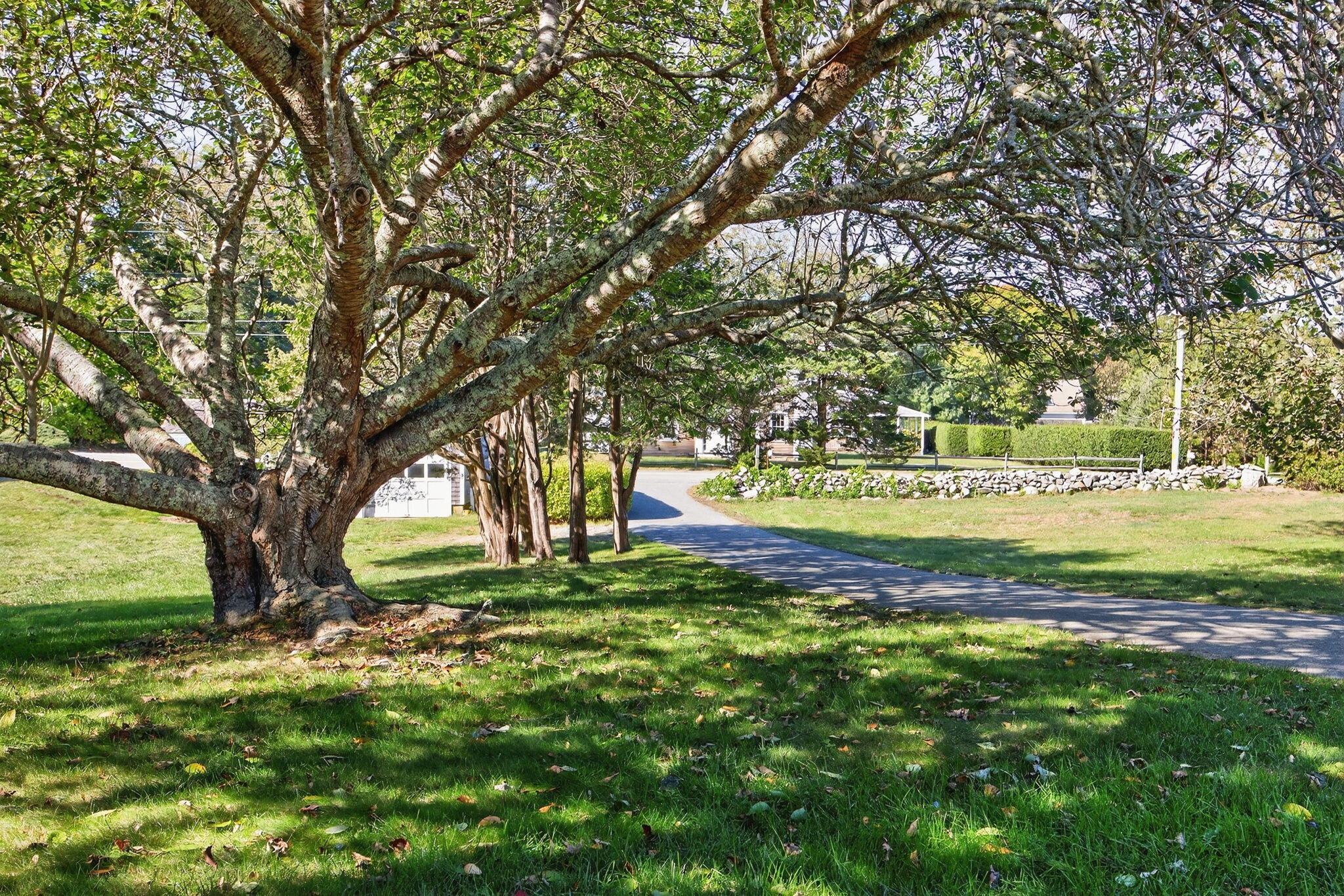 343 Tonset Road Orleans, MA 02653 - Photo 4 of 89 343 Tonset Road Orleans MA