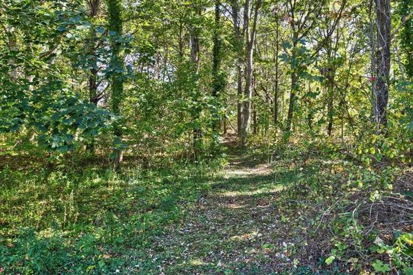 $2,795,000 | 343 Tonset Road, Orleans, MA 02653
