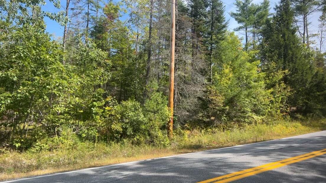 Tbd Wakefield Road West Newfield, ME 04095 - Photo 2 of 8 IMG_8880