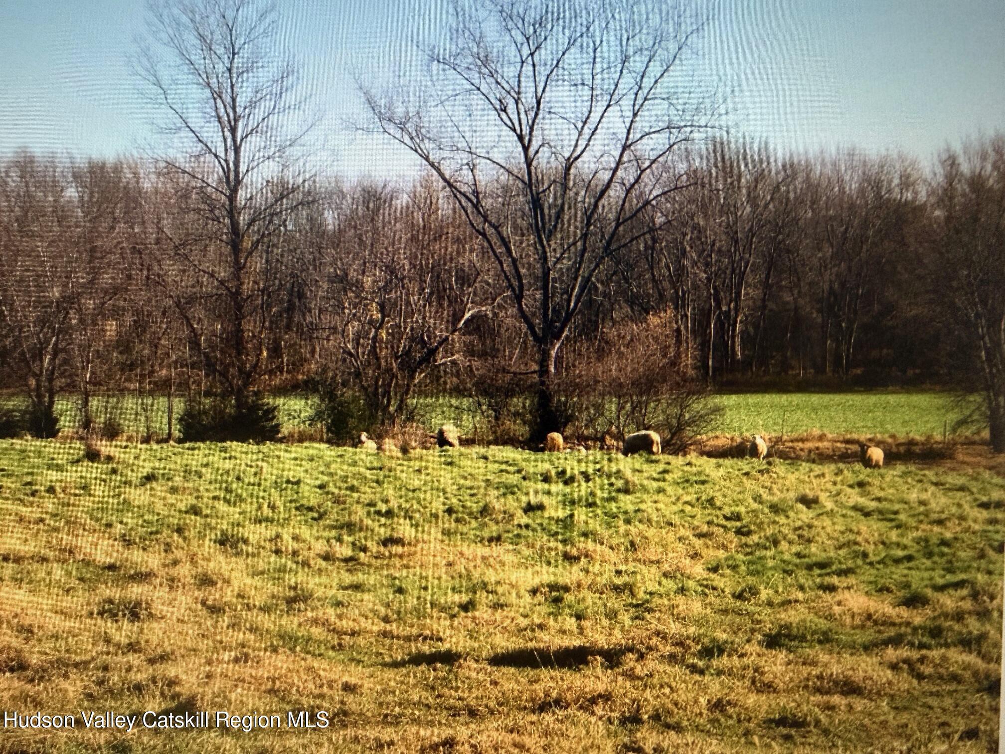 0 Spook Rock Road Hudson, NY 12534 - Photo 7 of 20 a view of a backyard of a house