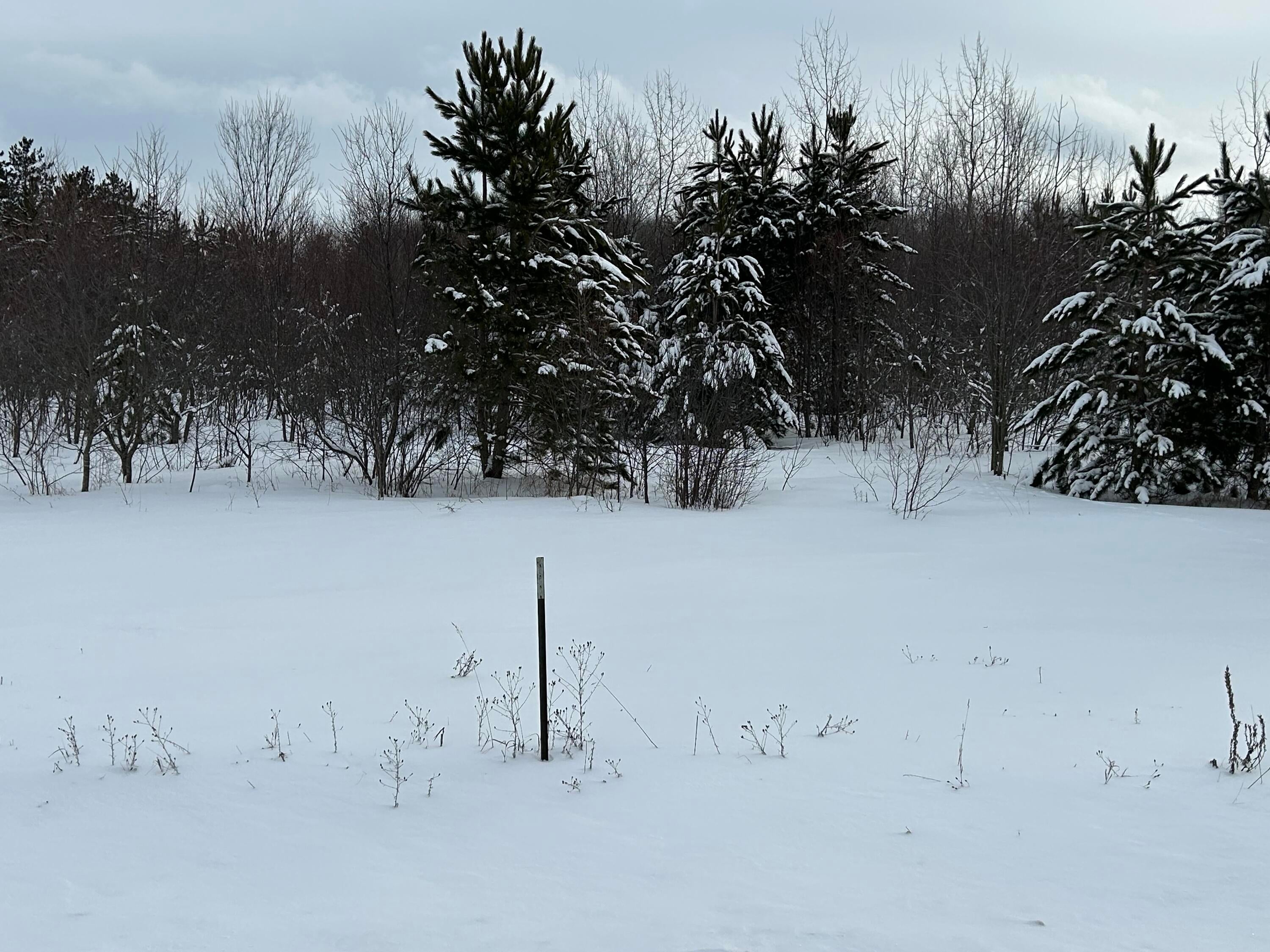 Vl Hallock Road Gaylord, MI 49735 - Photo 10 of 11 Gallery Image 10