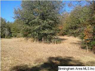 14066 Milldale Road Brookwood, AL 35444 - Photo 3 of 22