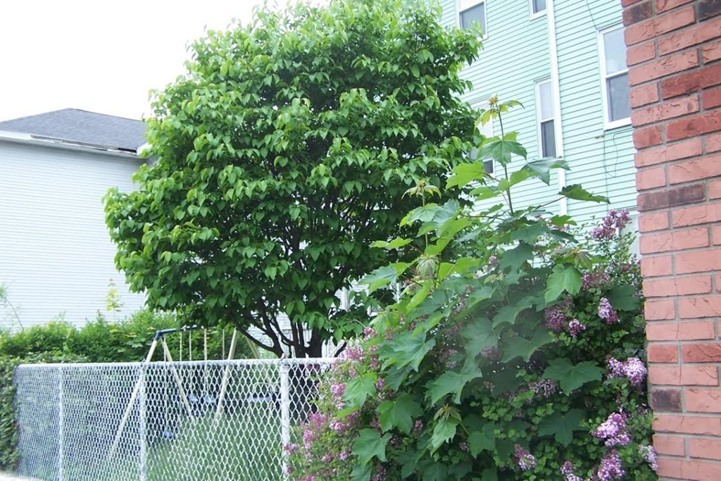90 Providence Street Worcester, MA 01604 - Photo 10 of 13