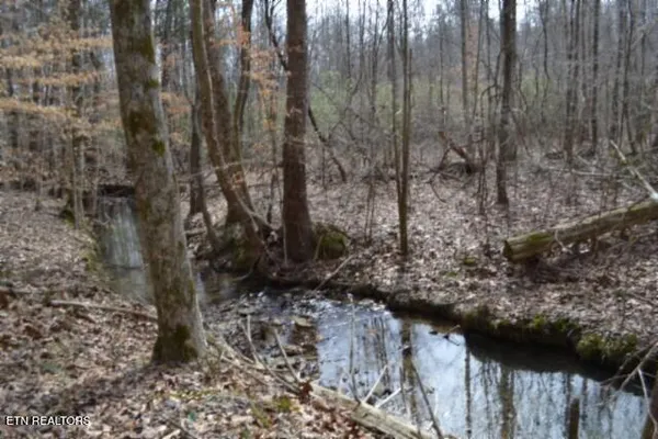 $1,500,000 | 87 Boles Road, Hilham, TN 38568