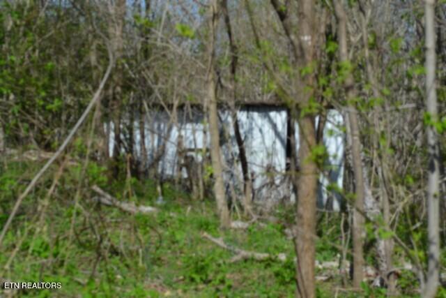 87 Boles Road Hilham, TN 38568 - Photo 11 of 49 DSC_0028