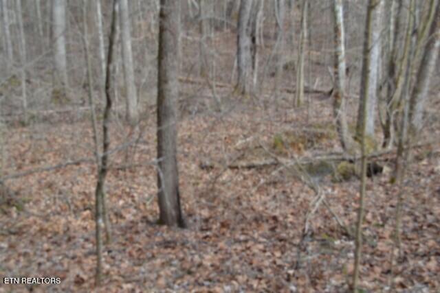 87 Boles Road Hilham, TN 38568 - Photo 11 of 46 DSC_0101