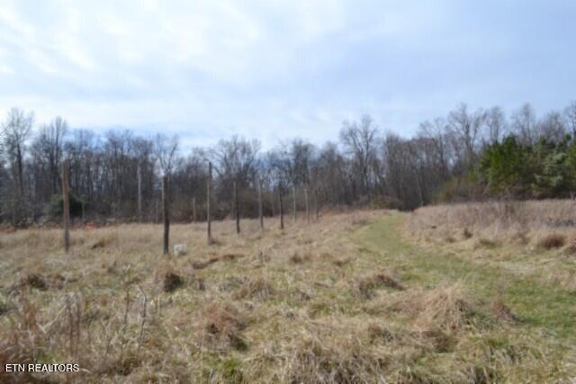 87 Boles Road Hilham, TN 38568 - Photo 12 of 46 DSC_0102