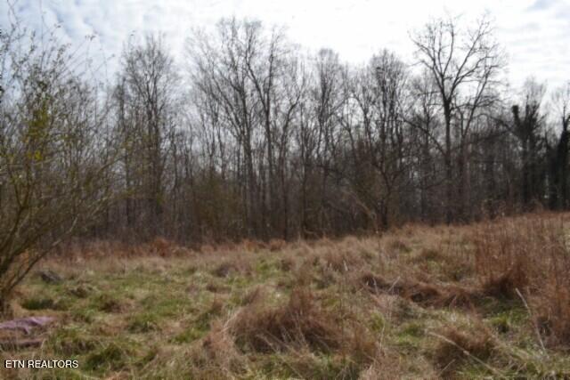 87 Boles Road Hilham, TN 38568 - Photo 13 of 46 DSC_0103