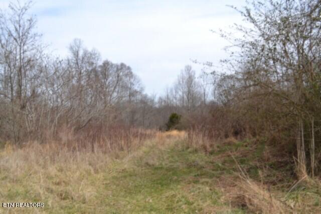 87 Boles Road Hilham, TN 38568 - Photo 14 of 46 DSC_0104