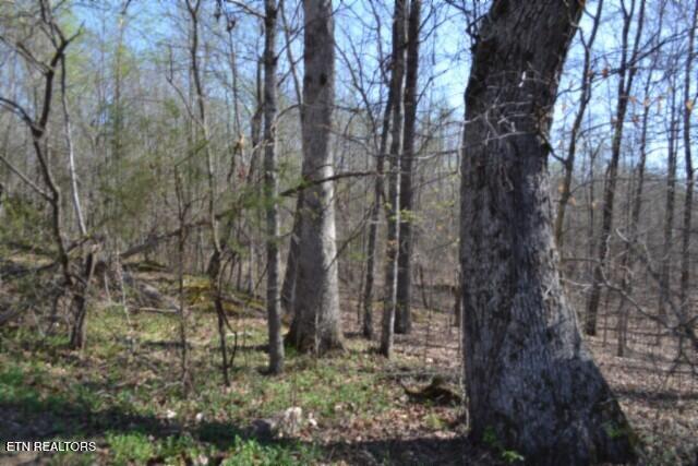 87 Boles Road Hilham, TN 38568 - Photo 14 of 49 DSC_0036