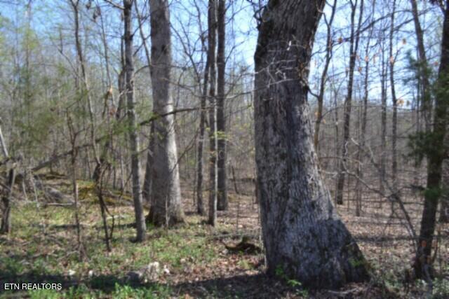 87 Boles Road Hilham, TN 38568 - Photo 15 of 49 DSC_0037