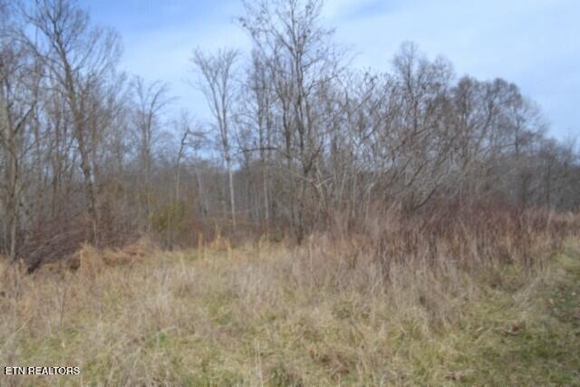 87 Boles Road Hilham, TN 38568 - Photo 15 of 46 DSC_0105