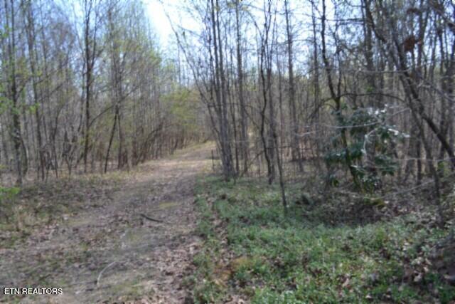 87 Boles Road Hilham, TN 38568 - Photo 16 of 49 DSC_0038