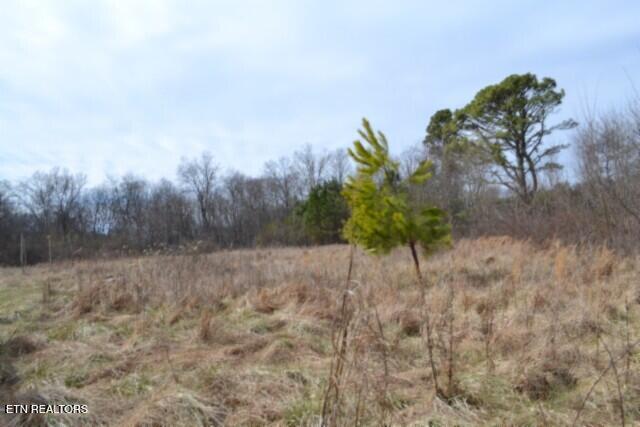 87 Boles Road Hilham, TN 38568 - Photo 16 of 46 DSC_0106