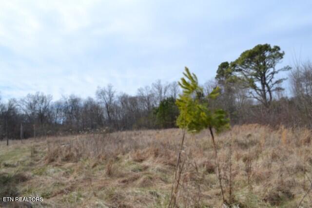 87 Boles Road Hilham, TN 38568 - Photo 17 of 46 DSC_0107