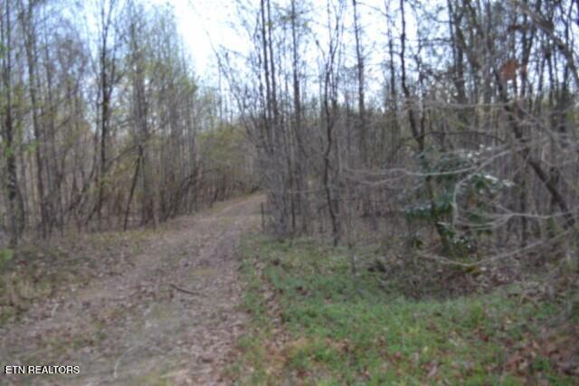 87 Boles Road Hilham, TN 38568 - Photo 17 of 49 DSC_0039