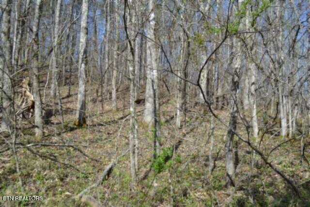 87 Boles Road Hilham, TN 38568 - Photo 19 of 49 DSC_0049